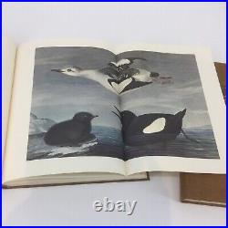 1st Edition 1966 ORIGINAL WATERCOLOR PAINTINGS THE BIRDS OF AMERICA BY AUDUBON