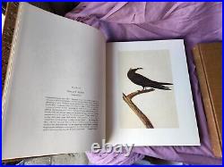 Original Paintings John James Audubon Birds of America Book 2 volumes 1966