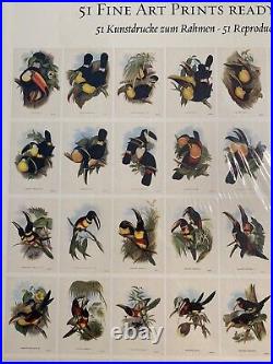 The Family of Toucans 51 Fine Art Ready To Frame Prints John Gould Box Set